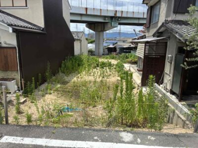IMG_1027.JPG